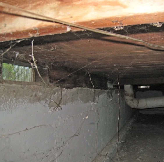 Crawlspace Water Damage Cleanup in Worcester, MA