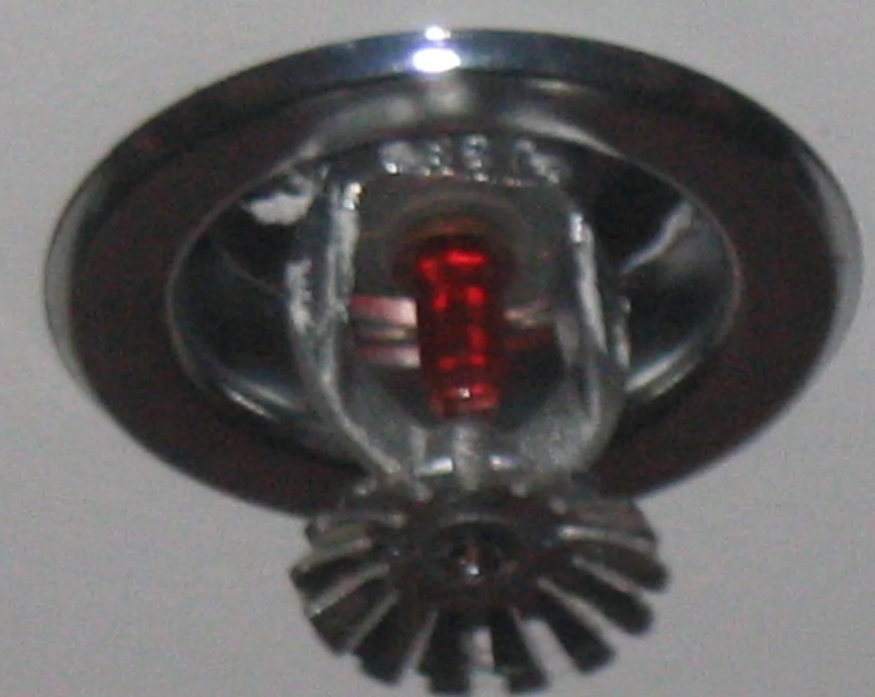 Fire Sprinkler Cleanup in Worcester, MA